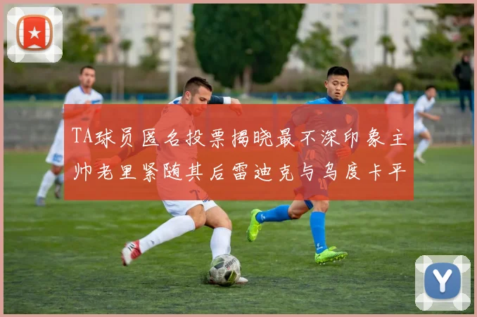 TA球员匿名投票揭晓最不深印象主帅老里紧随其后雷迪克与乌度卡平分秋色