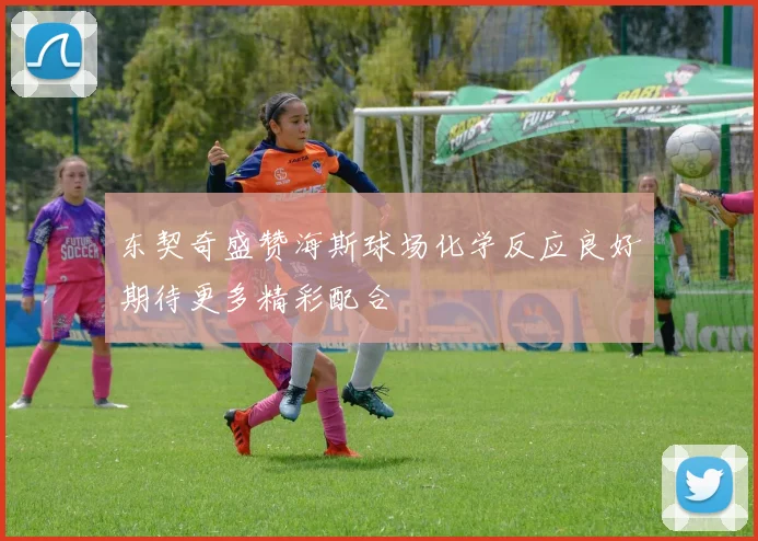 东契奇盛赞海斯球场化学反应良好期待更多精彩配合