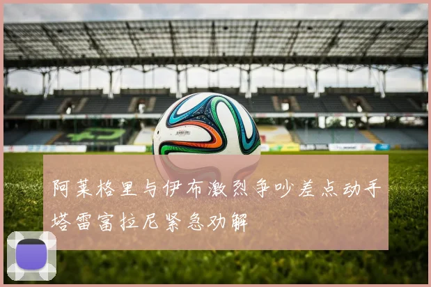 阿莱格里与伊布激烈争吵差点动手塔雷富拉尼紧急劝解
